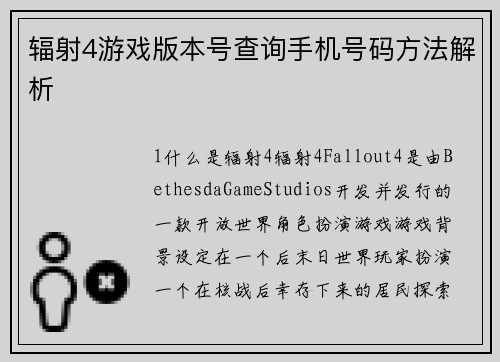 辐射4游戏版本号查询手机号码方法解析